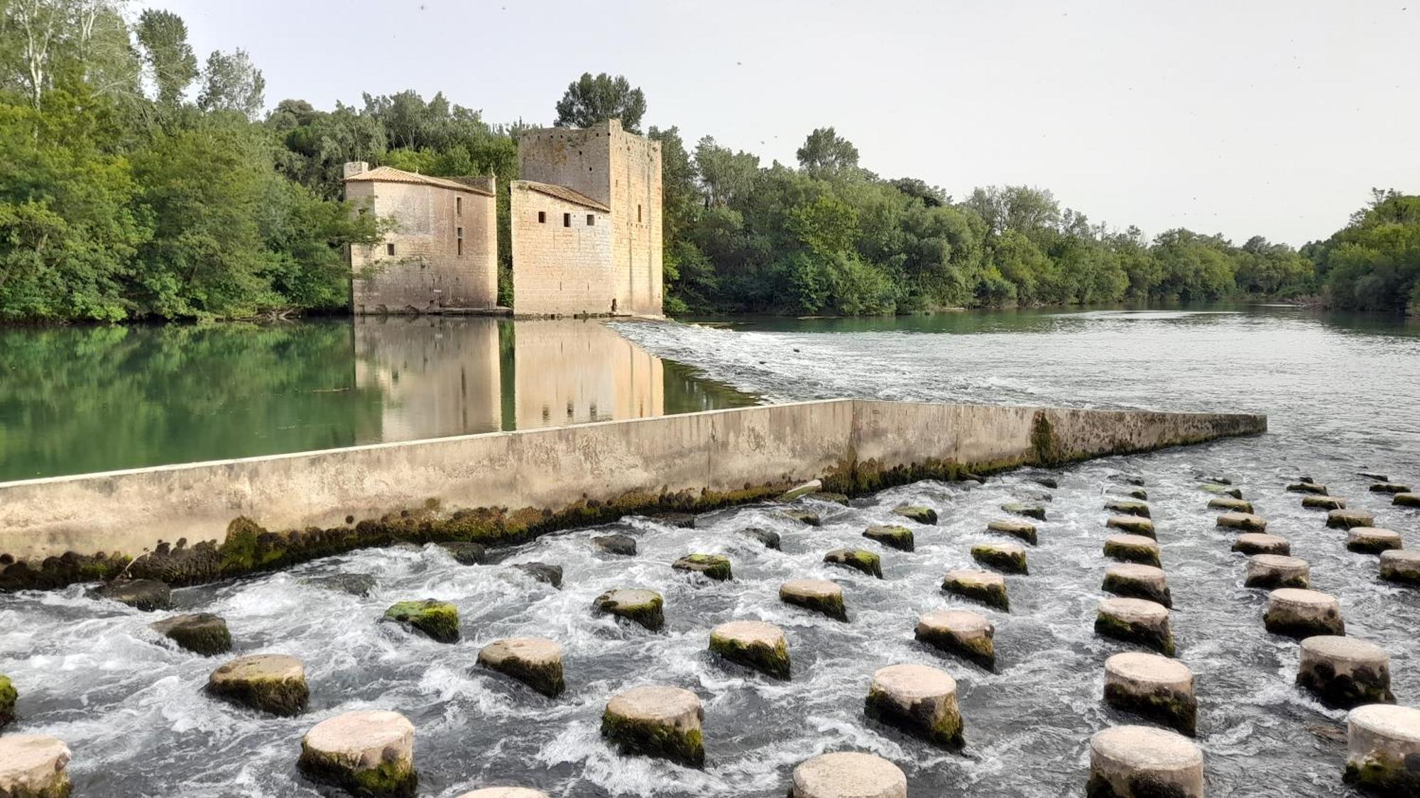 L'Oostaloo Logement De Vacances Usclas-l'Herault Luaran gambar